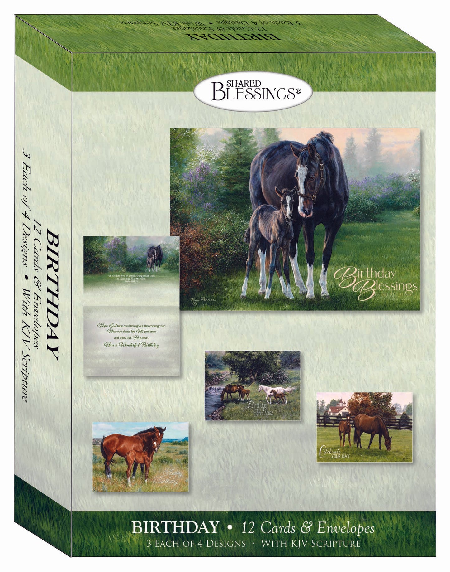 Christian Birthday Cards by Shared Blessings-Beginnings, 12 Cards