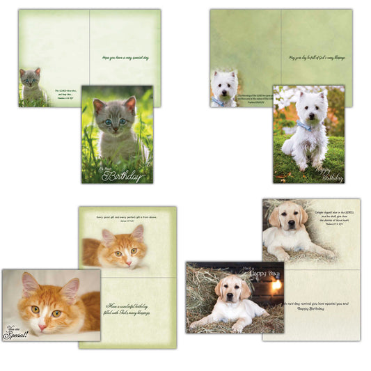 Christian Birthday Cards from Shared Blessings-Puppies and Kittens, Box of 12 Cards and Envelopes