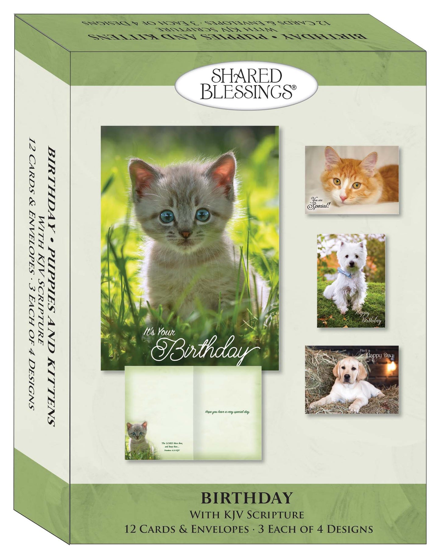 Christian Birthday Cards from Shared Blessings-Puppies and Kittens, Box of 12 Cards and Envelopes
