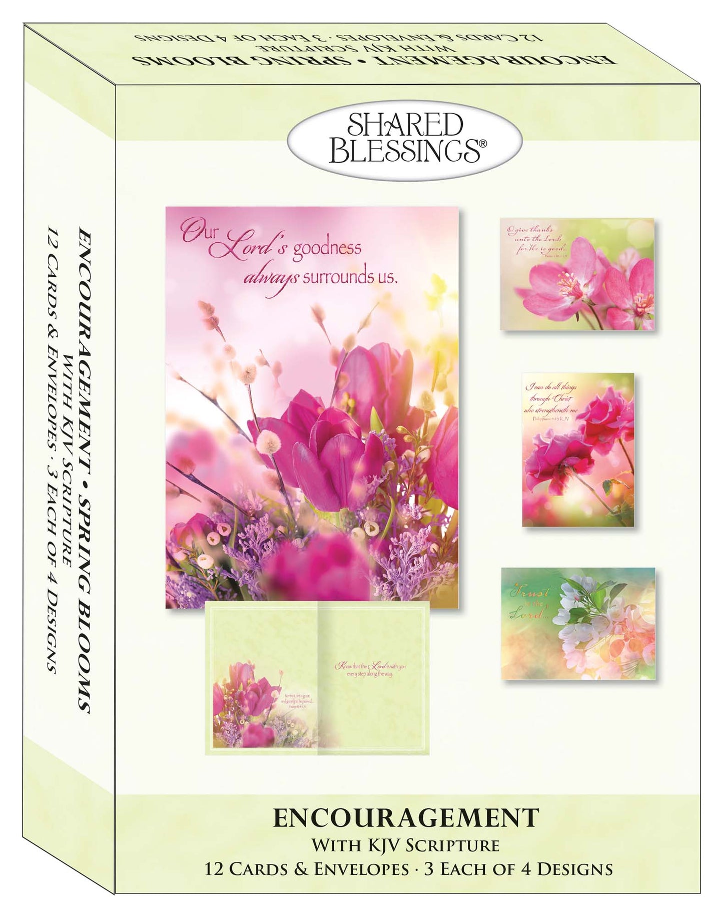 Spring Blossoms - Encouragement Cards, 12 Boxed Greeting cards by Shared Blessings