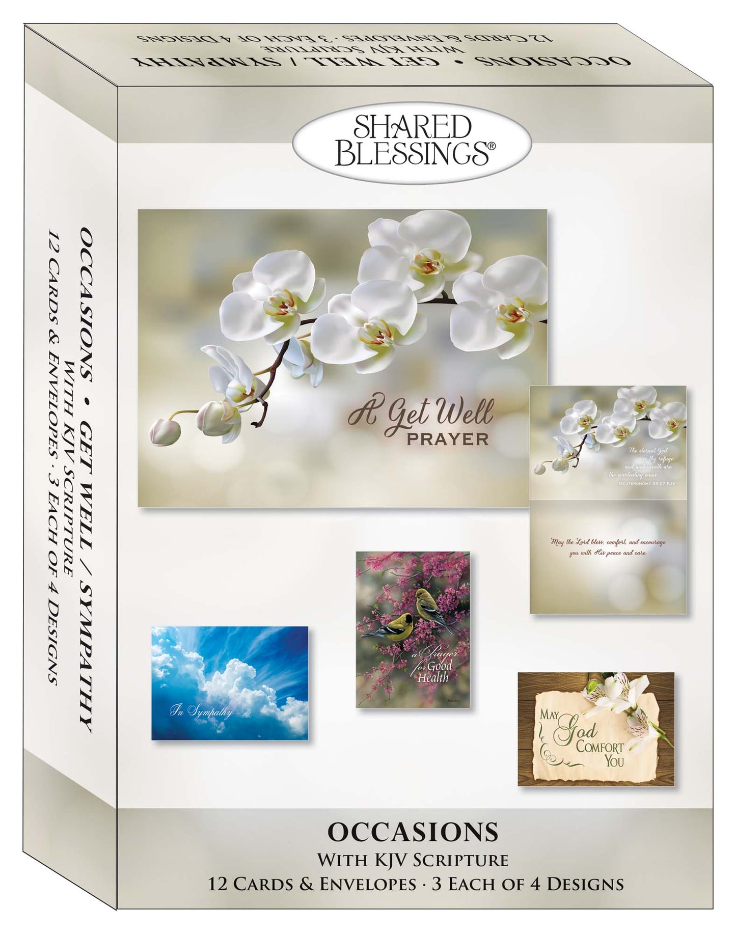 Occasions Get Well and Sympathy - Box of 12 Assorted Get Well and Sympathy Cards by Shared Blessings