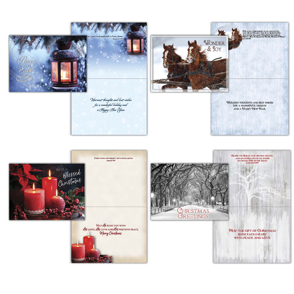 Large Boxed Christmas Card Assortment- Wonder and Joy - 24 cards and envelopes