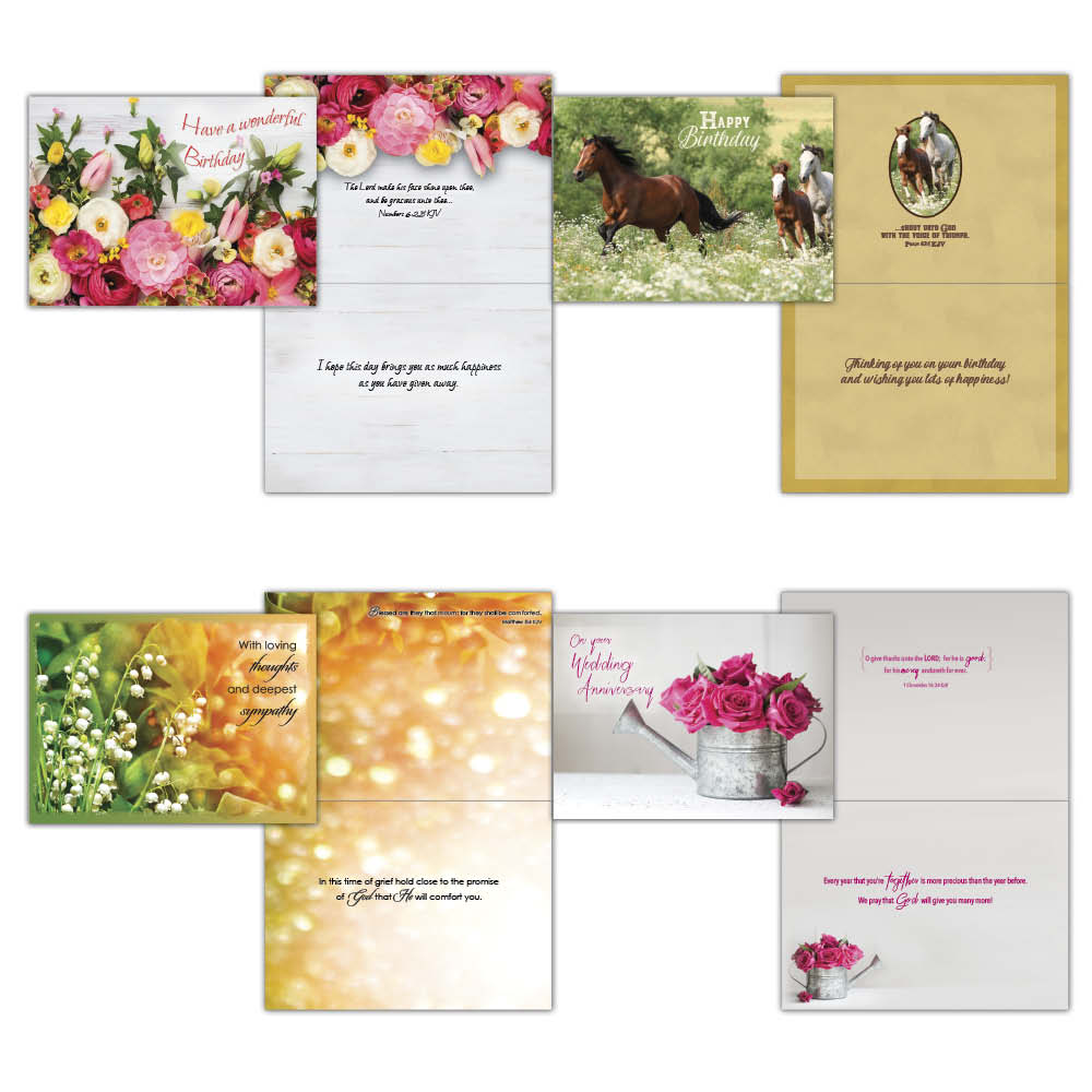 Value Assortment No.1 - Assorted All Occasion, Box of 48