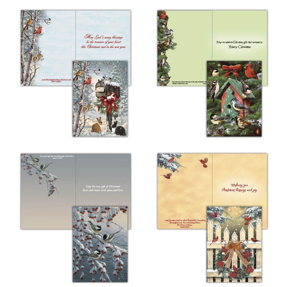 Boxed Christmas Cards - Winter Birds