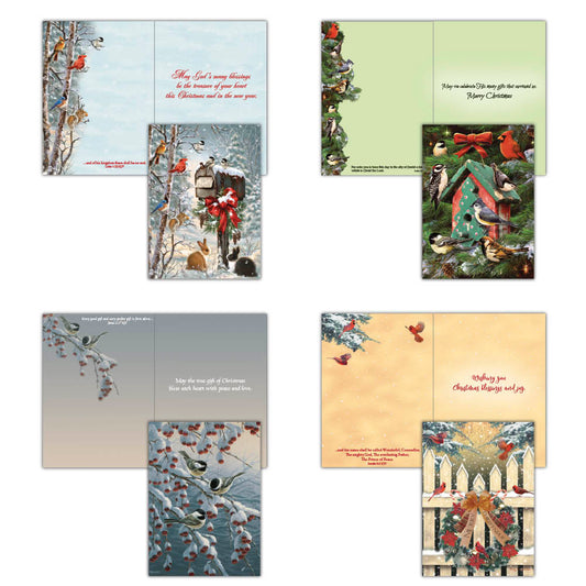 Boxed Christmas Cards - Winter Birds