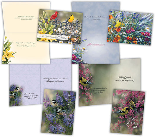 4 get well cards with birds and kjv scripture