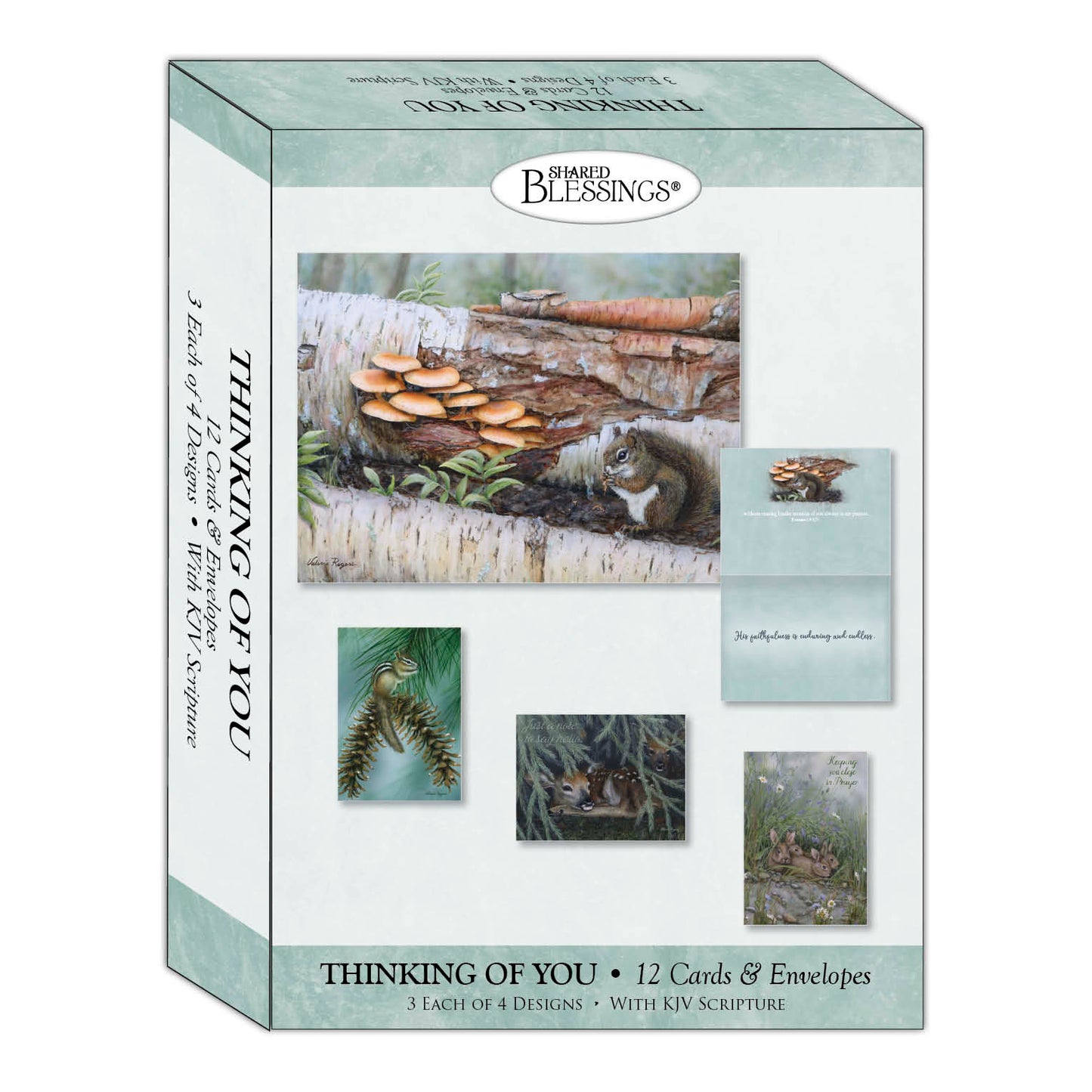 Christian Thinking of You Cards by Shared Blessings, Woodlands, Box of 12