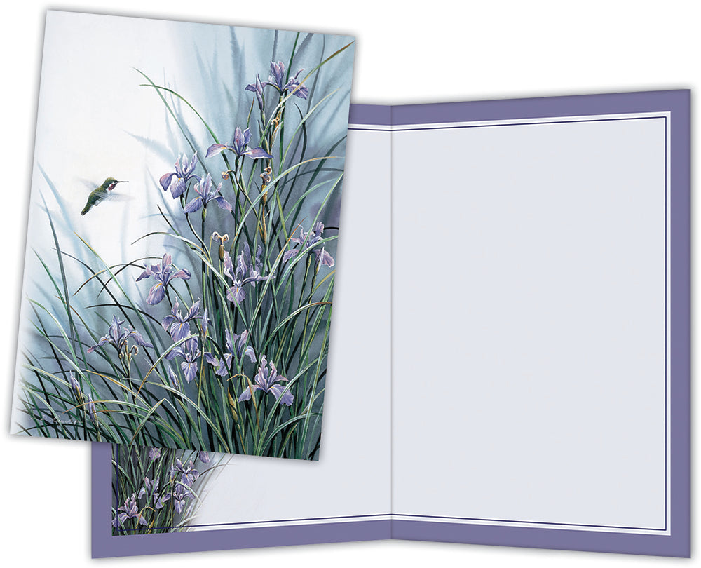 WILD GARDEN HUMMINGBIRD - Boxed Note Cards, Box of 15