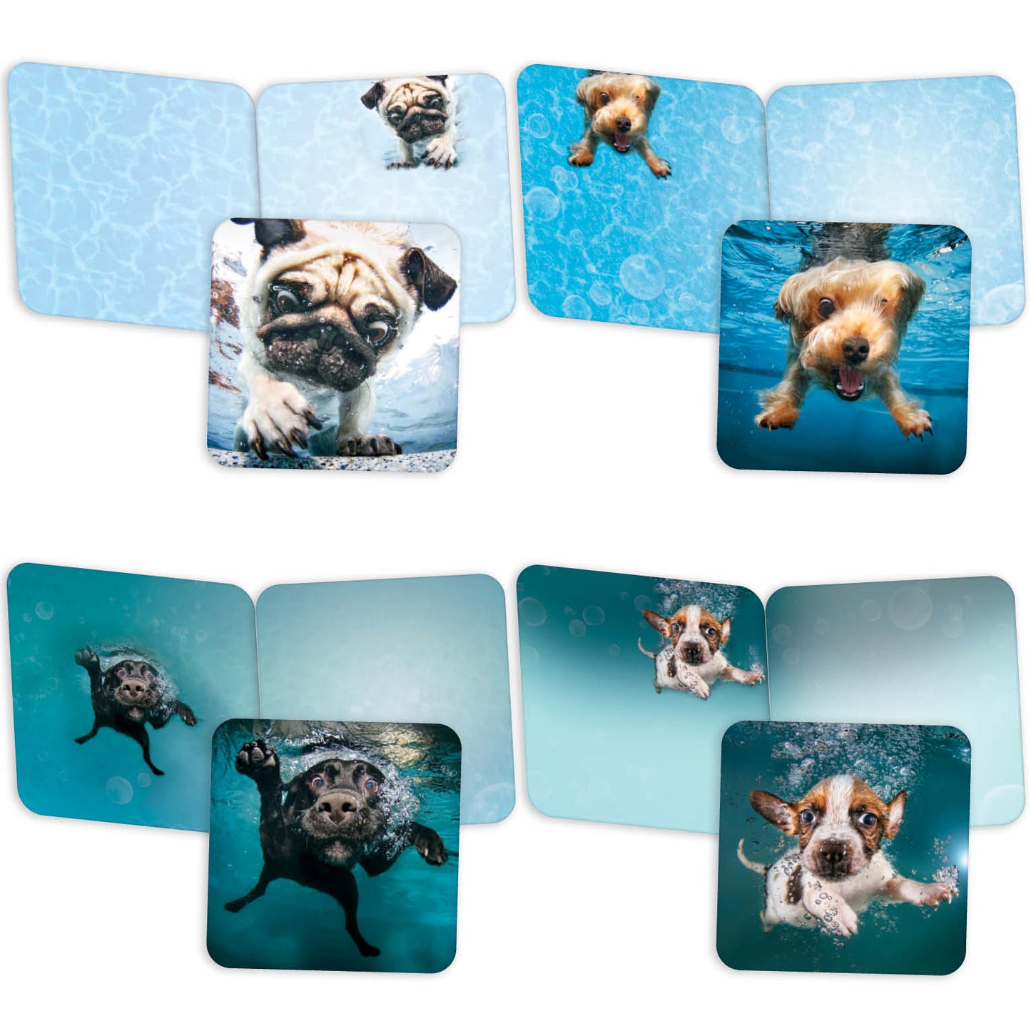 Underwater Dogs® - Boxed Note Card Assortment - 20 Cards & 20 Envelopes