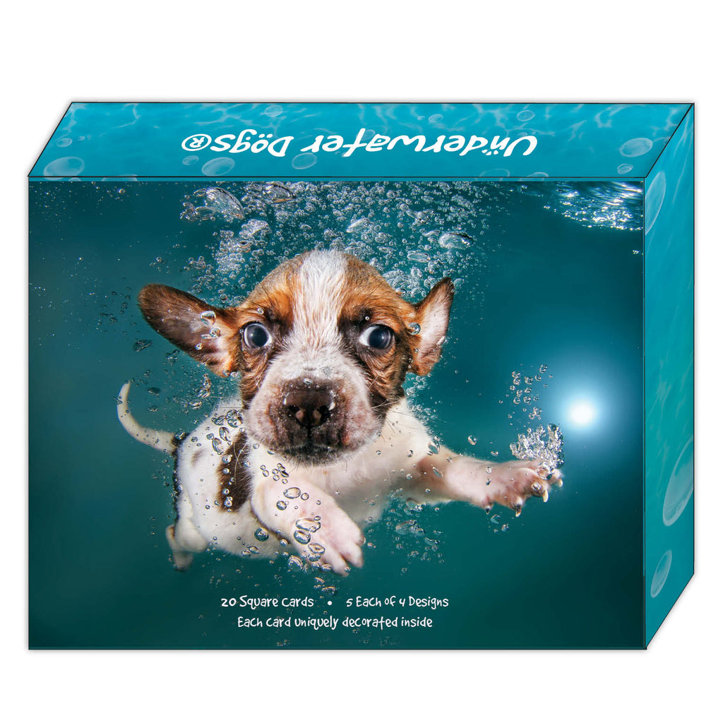 Underwater Dogs® - Boxed Note Card Assortment - 20 Cards & 20 Envelopes