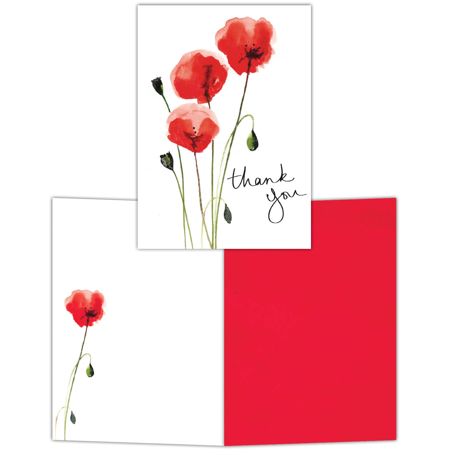 Red Poppy Trio - Boxed Thank You Notecards -15 cards and envelopes