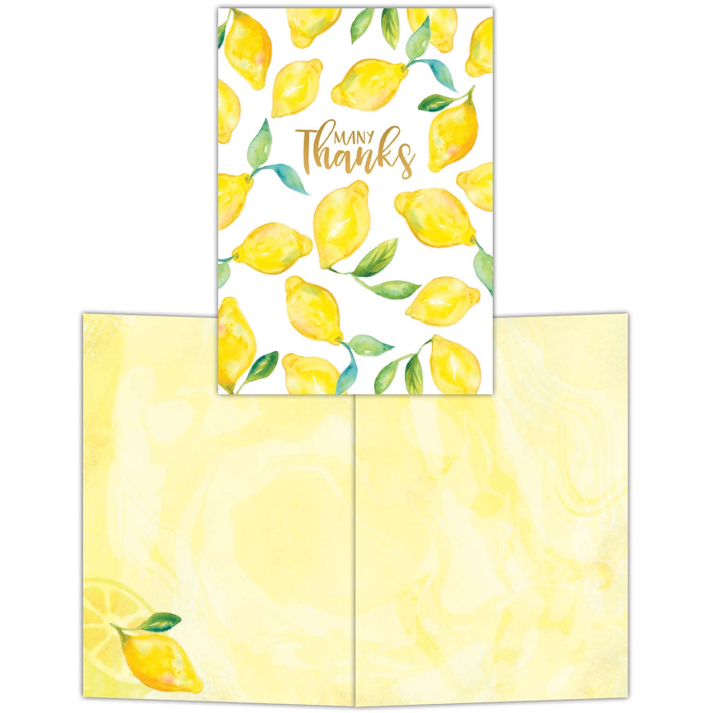 Lemons - Boxed Thank You Notecards -15 cards and envelopes