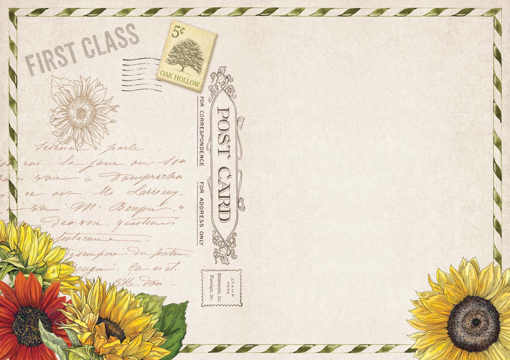 Vintage Squirrel & Sunflower | Notecards with keepsake box