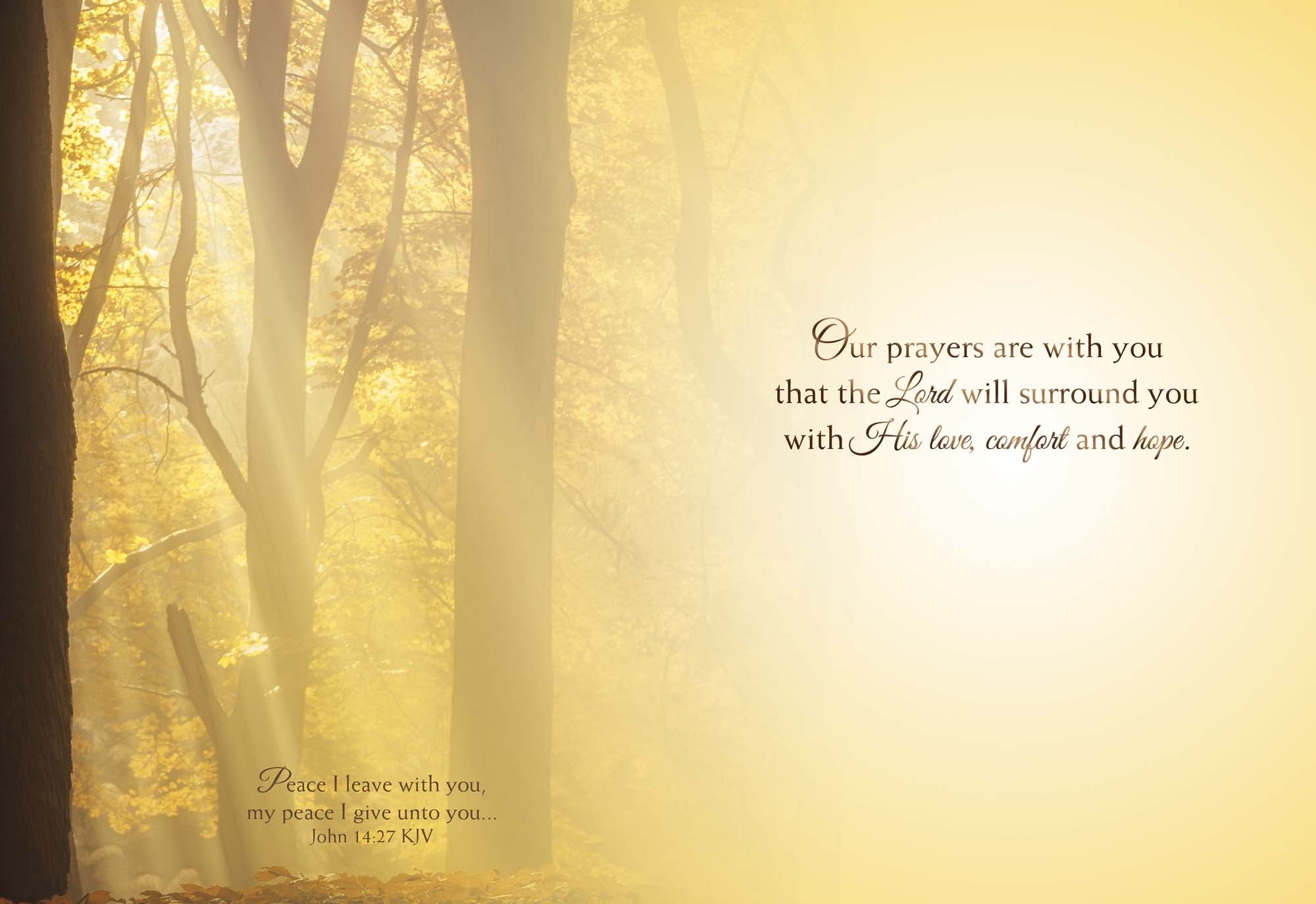 Religious Sympathy Cards | Light of the World- Box of 12 Assorted Sympathy Cards by Shared Blessings