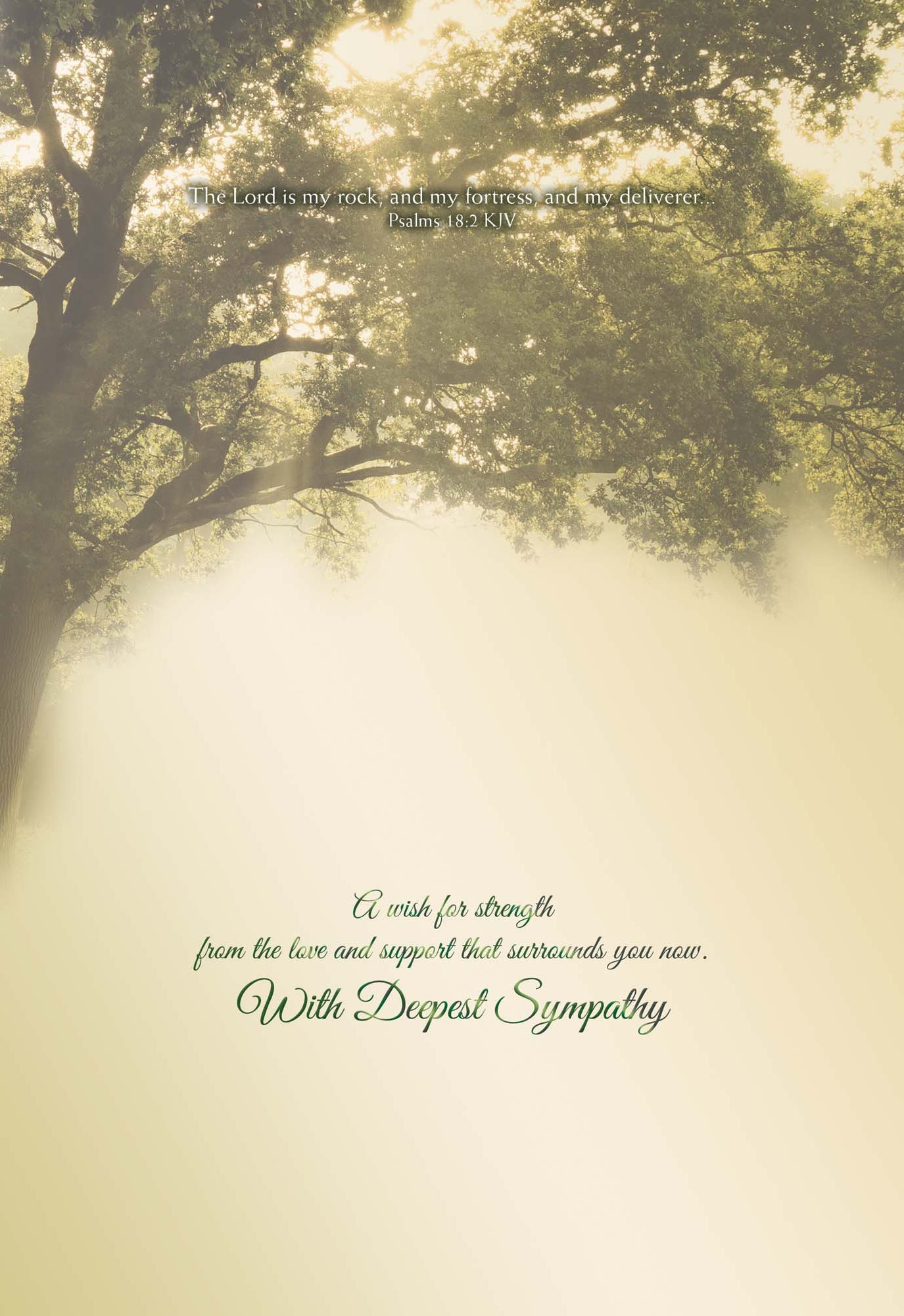 Religious Sympathy Cards | Light of the World- Box of 12 Assorted Sympathy Cards by Shared Blessings