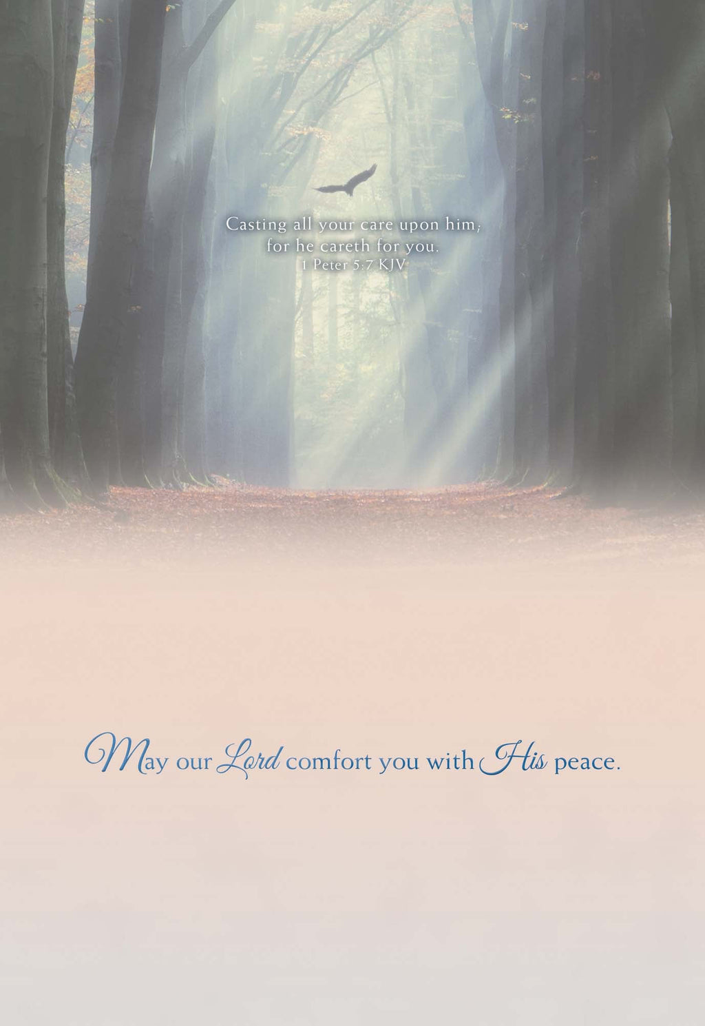 Religious Sympathy Cards | Light of the World- Box of 12 Assorted Sympathy Cards by Shared Blessings