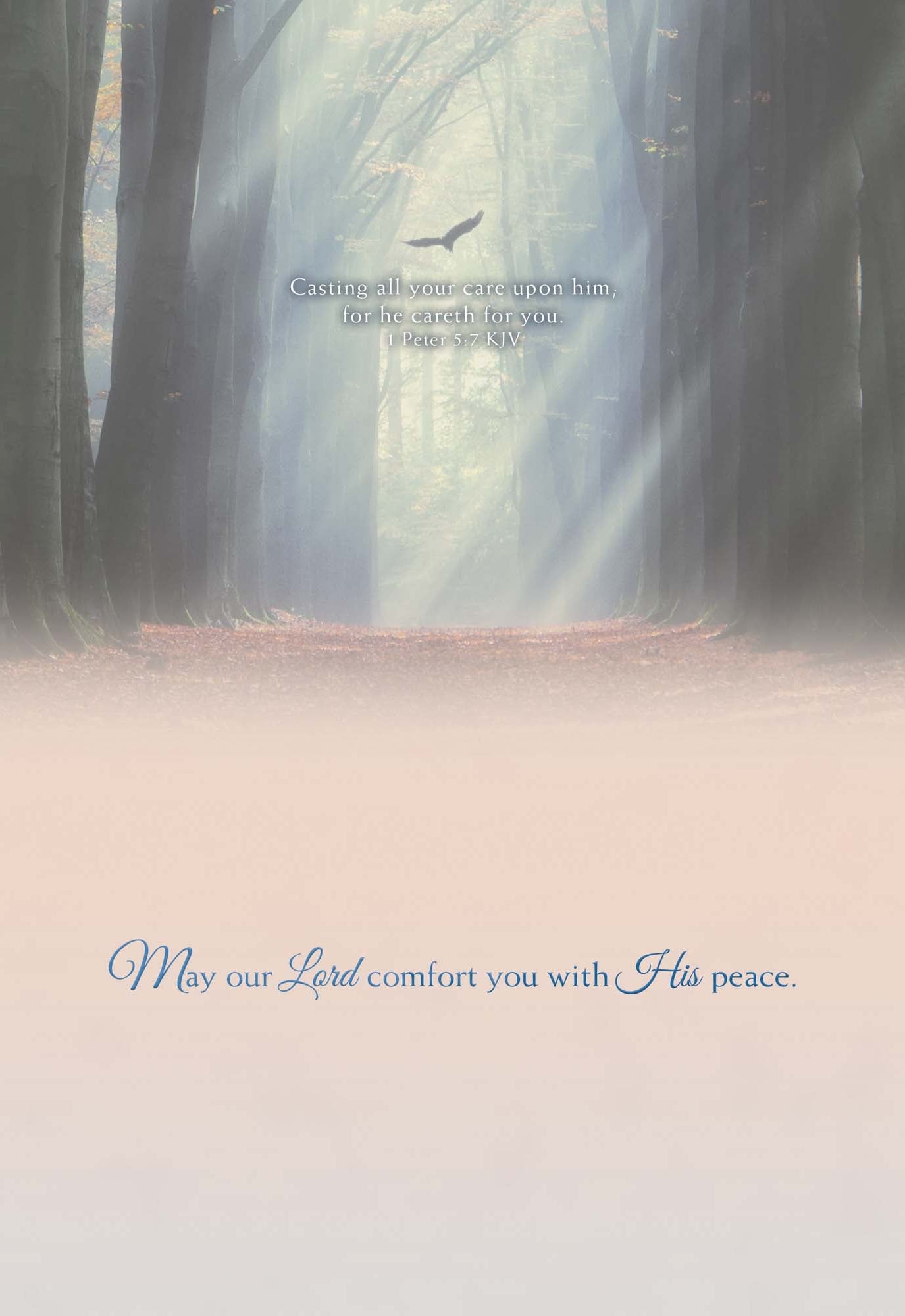 Religious Sympathy Cards | Light of the World- Box of 12 Assorted Sympathy Cards by Shared Blessings