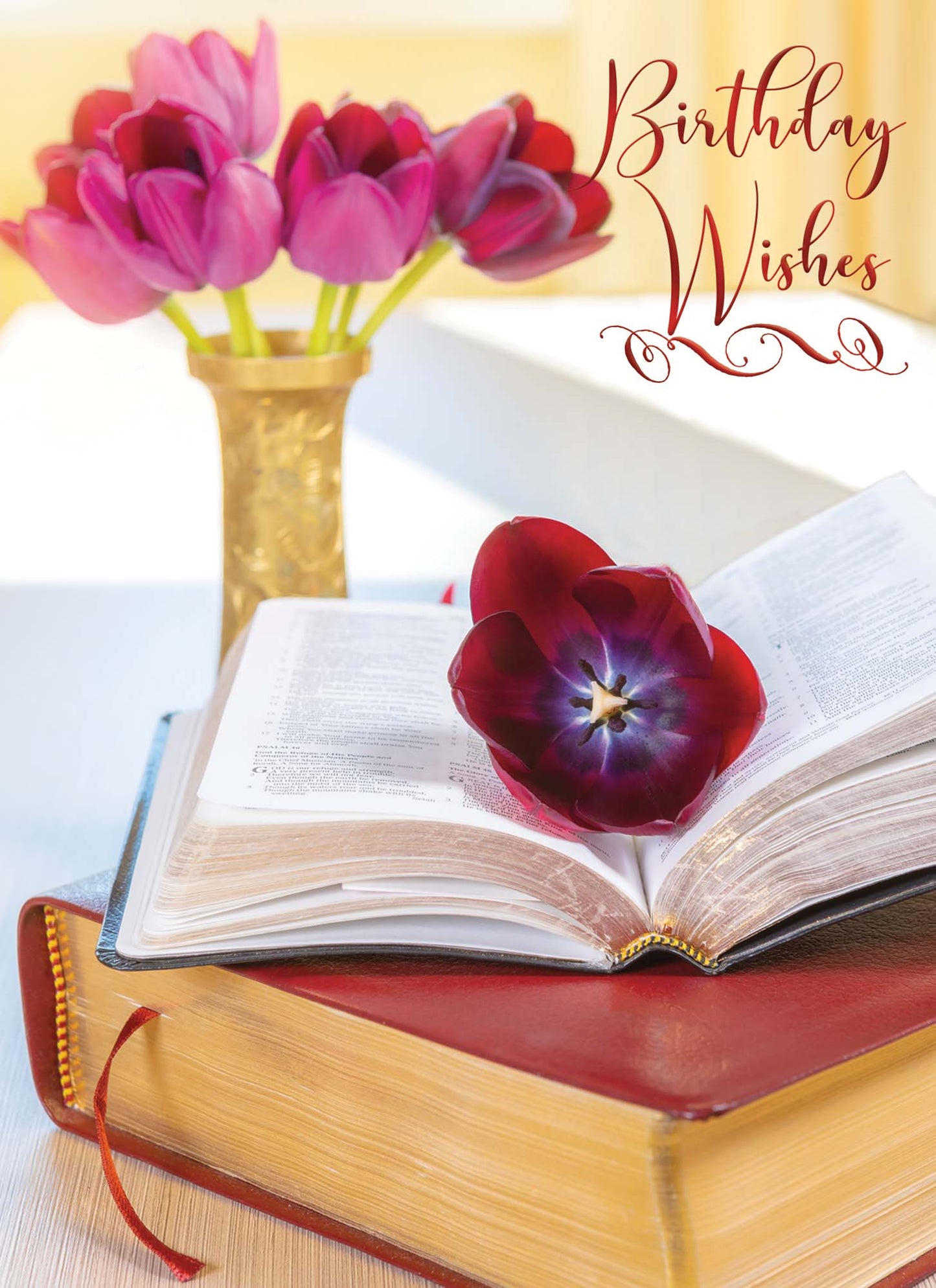 Bibles and Flowers, Box of 12 Assorted Birthday Cards by Shared Blessings