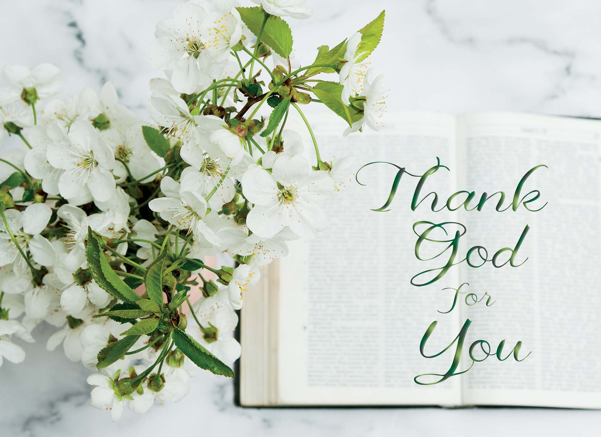 Christian Birthday Cards by Shared Blessings - Bibles and Flowers, 12 Cards and Envelopes