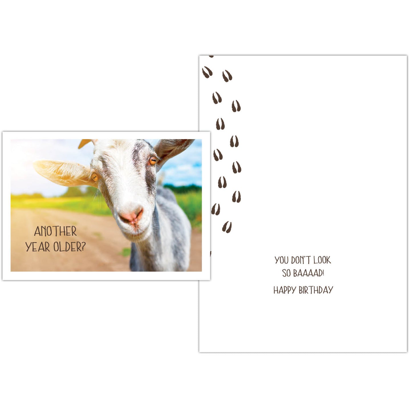 Individual birthday card with a goat on the front