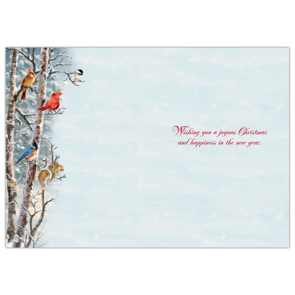Christmas Tidings -16 Boxed Christmas Cards
