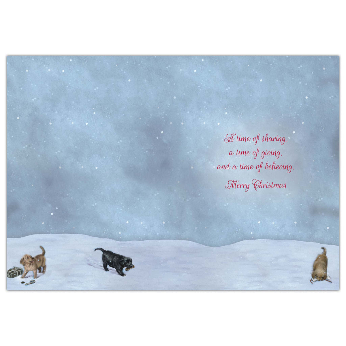 Santa Winter Walk - 16 Special Finish Boxed Christmas Cards