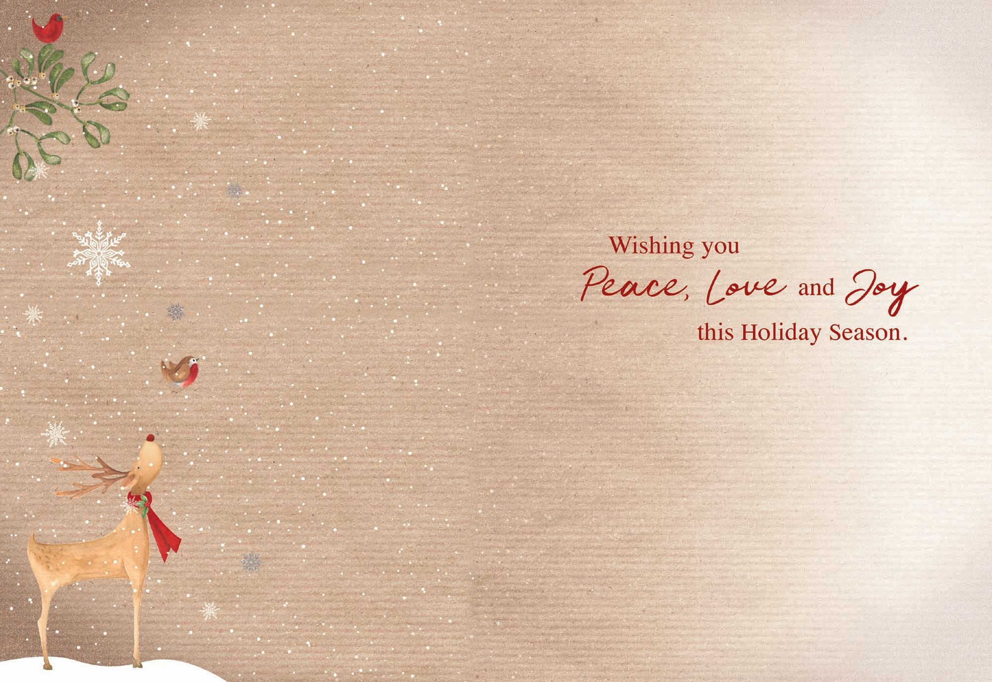 Jingle and Joy - Large Boxed Christmas Card Assortment