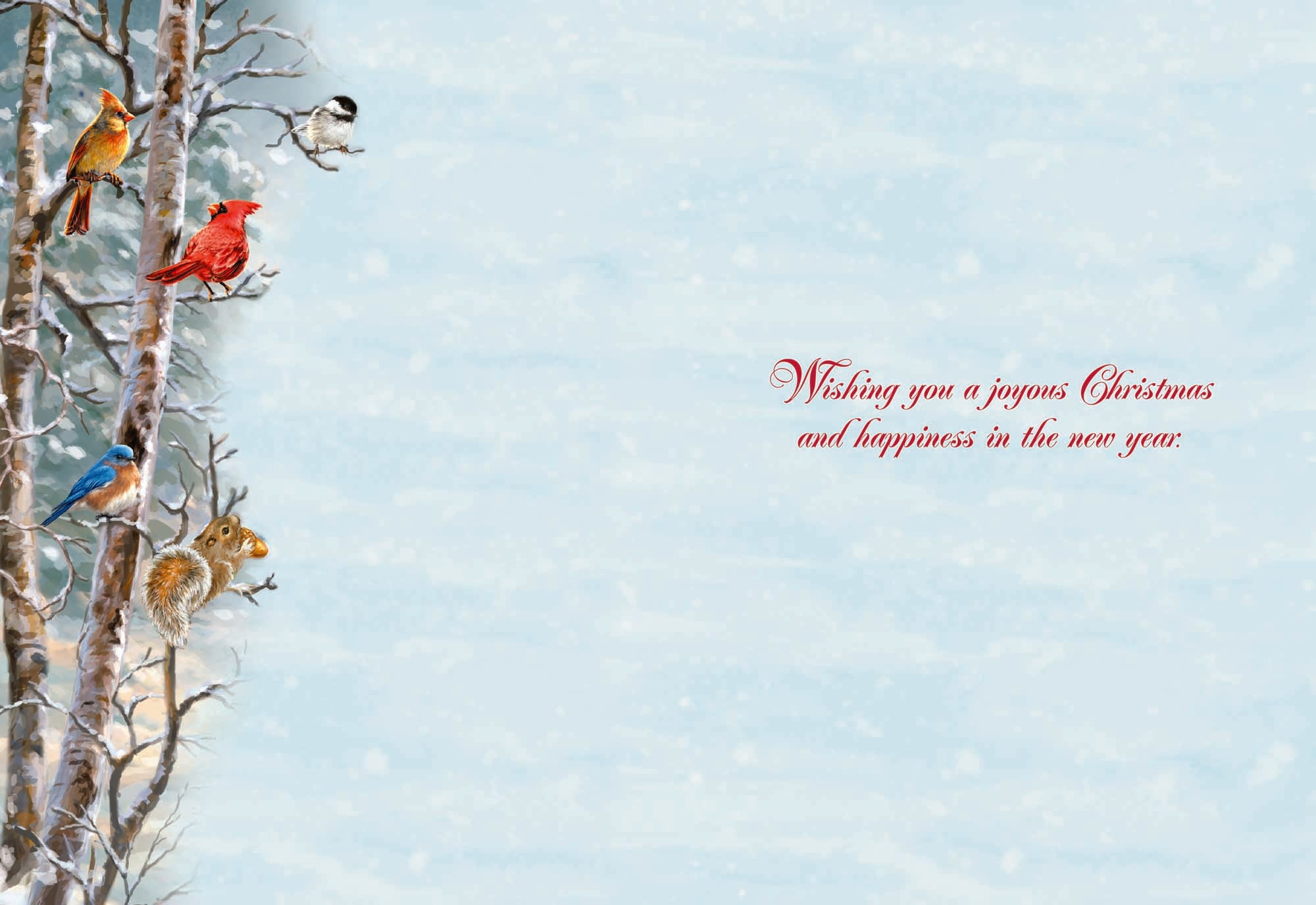 Jingle and Joy - Large Boxed Christmas Card Assortment