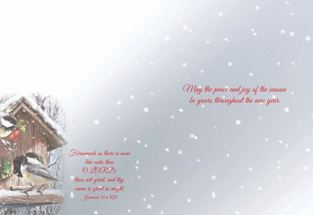 May the peace and joy of the season be yours throughout the new year.