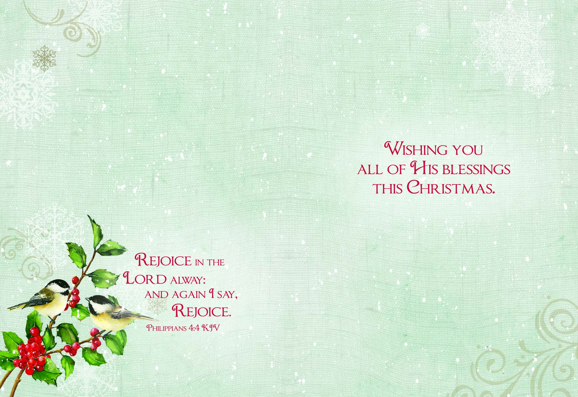 Boxed Christmas Cards - Winter Birds II