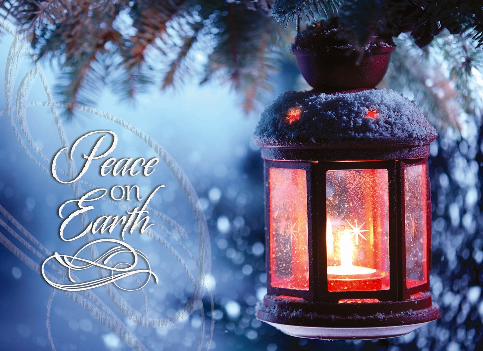 Boxed Christmas Cards - Light the Way