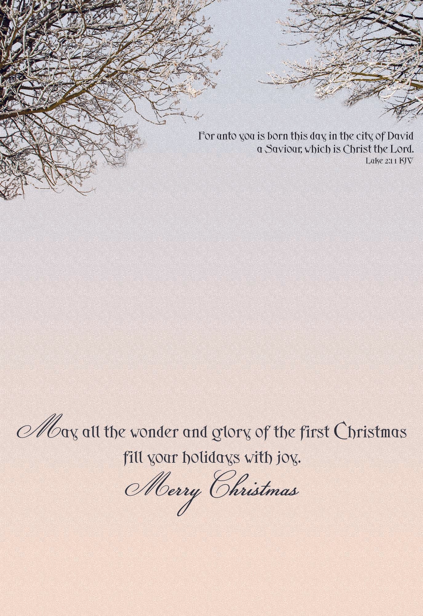 May all the wonder and glory of the first Christmas fill your holidays with joy.
Merry Christmas