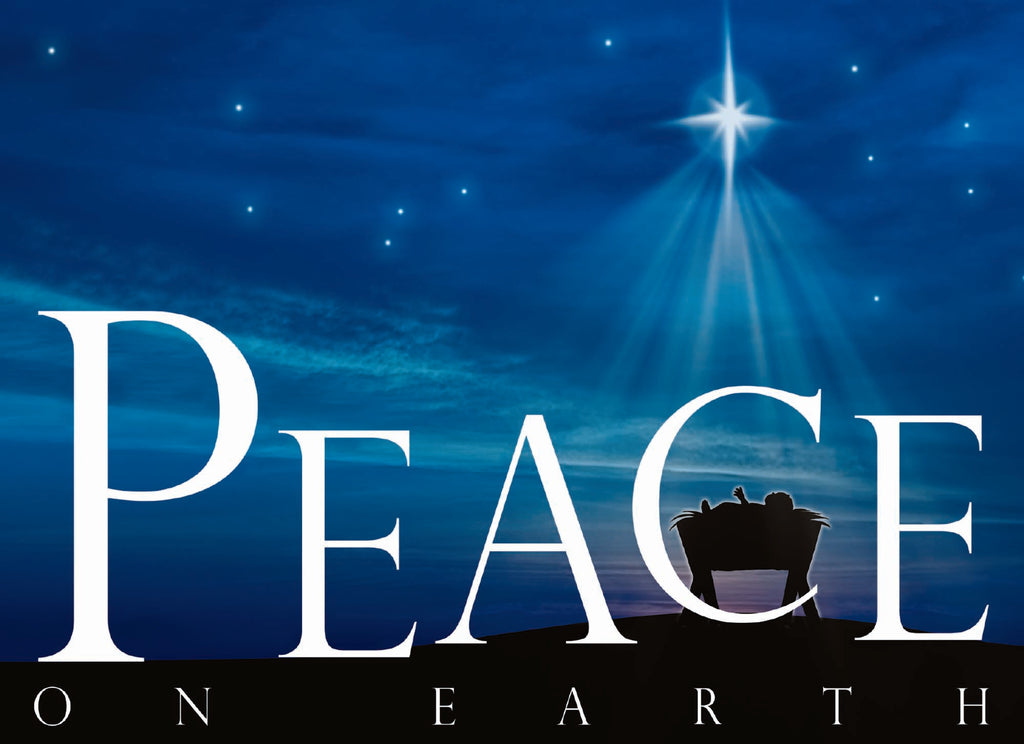 Large Boxed Christmas Card Assortment- Joyful Greetings - 24 cards and envelopes