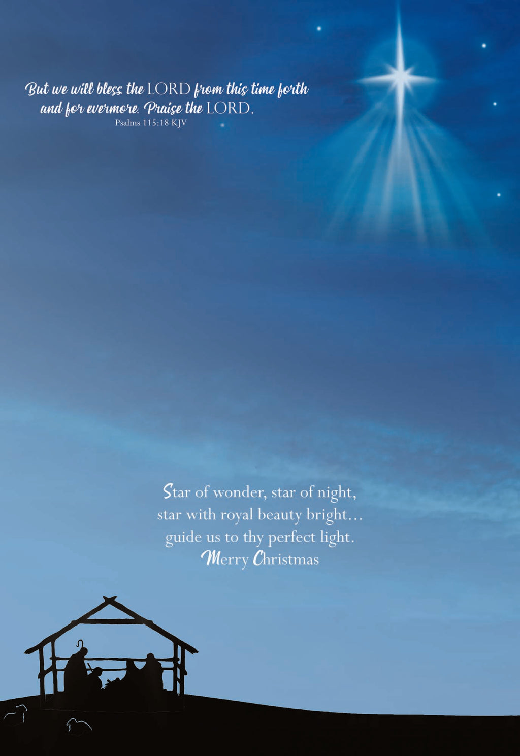 Large Boxed Christmas Card Assortment- Joyful Greetings - 24 cards and envelopes