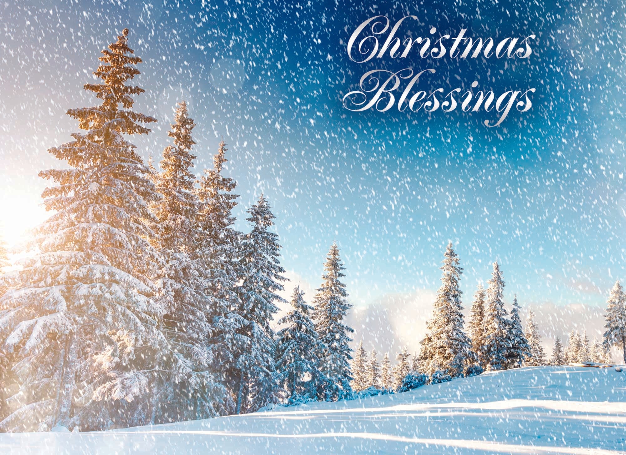 Boxed Christmas Cards-Beauty of the Season