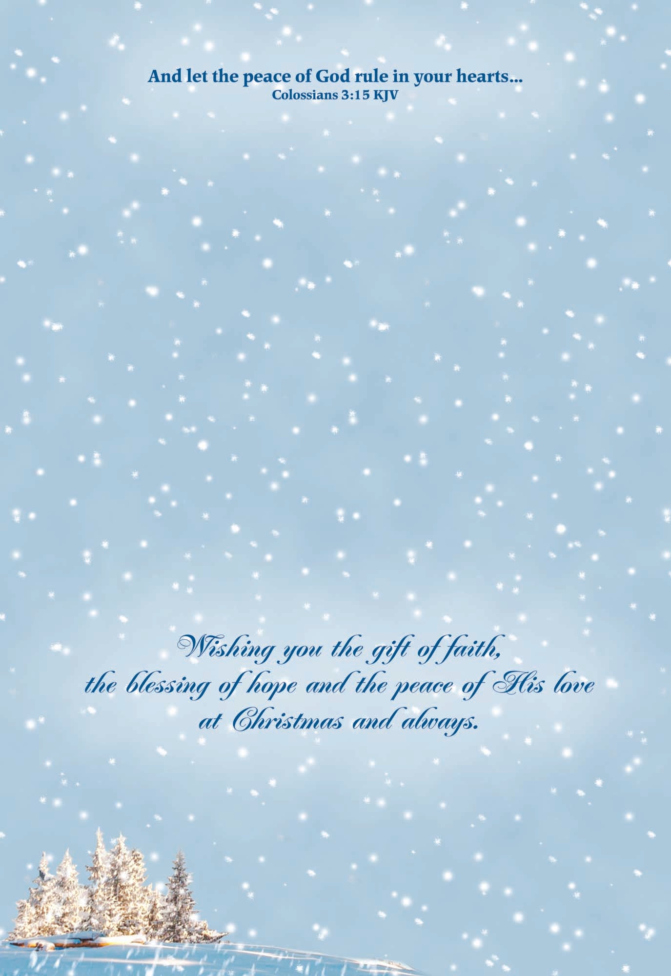 Boxed Christmas Cards-Beauty of the Season