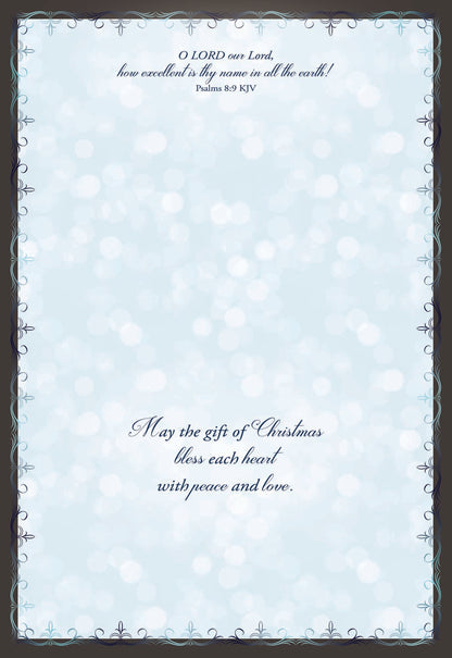 Boxed Christmas Cards-Beauty of the Season