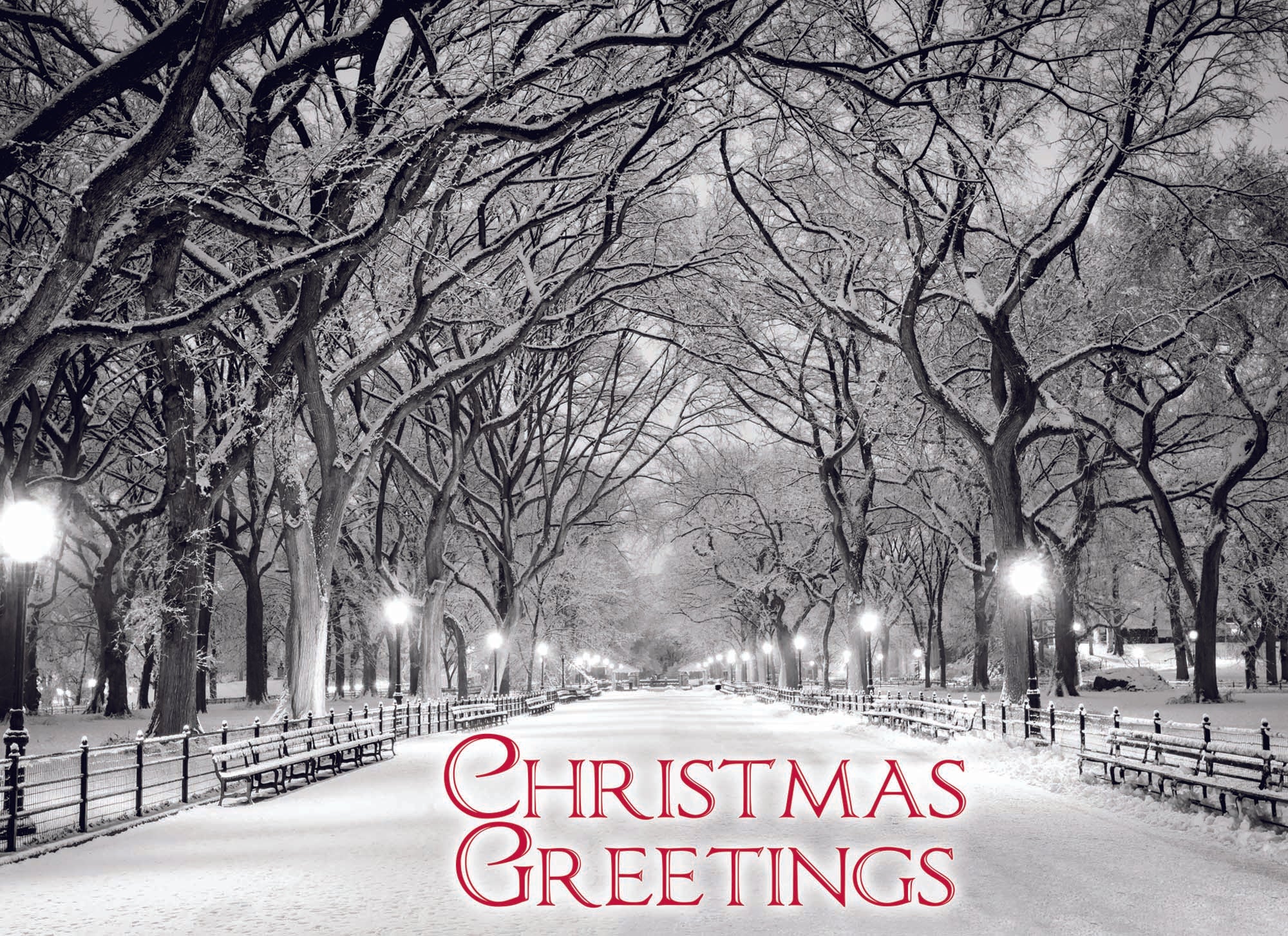 Boxed Christmas Cards-Beauty of the Season