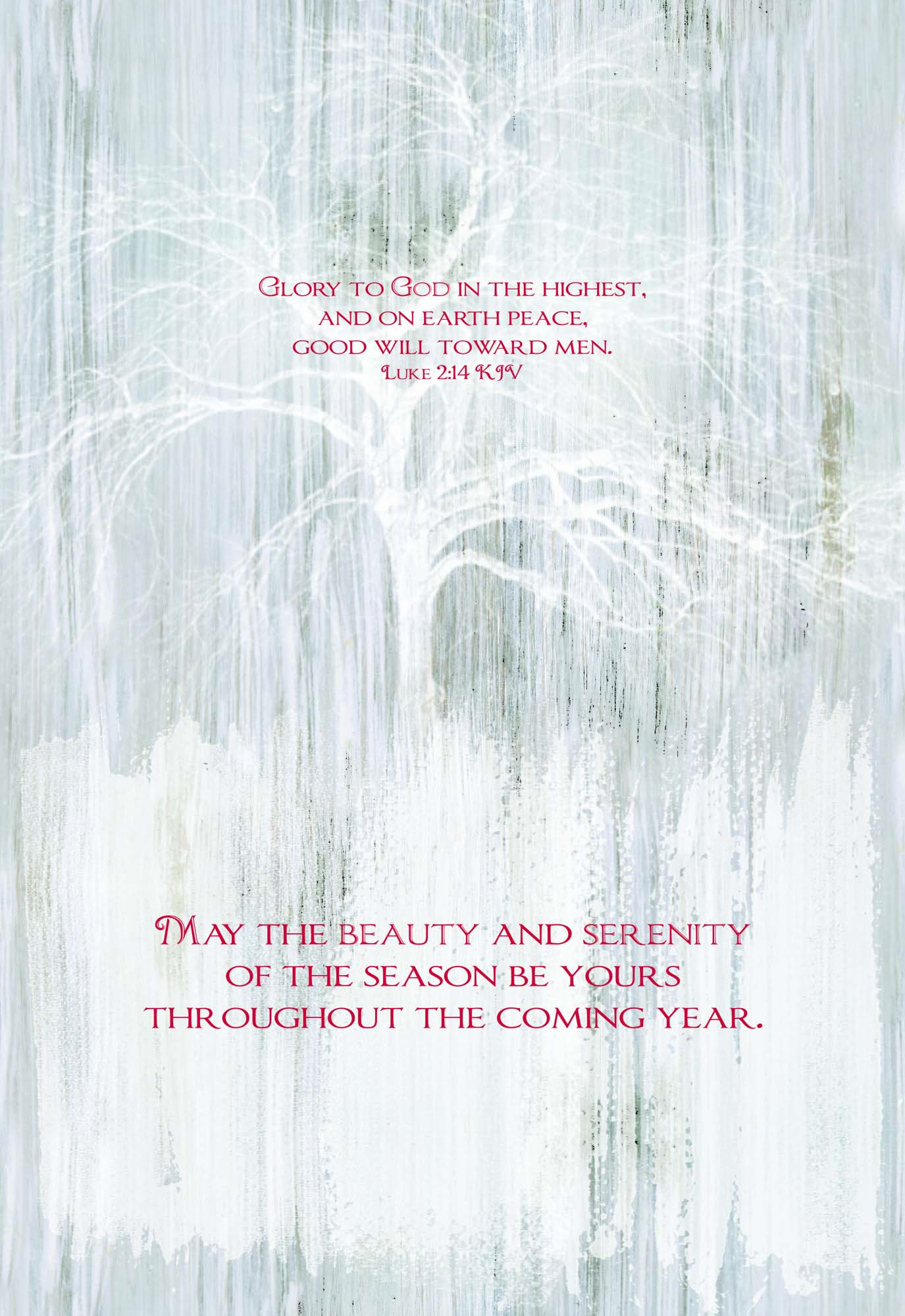 Boxed Christmas Cards-Beauty of the Season