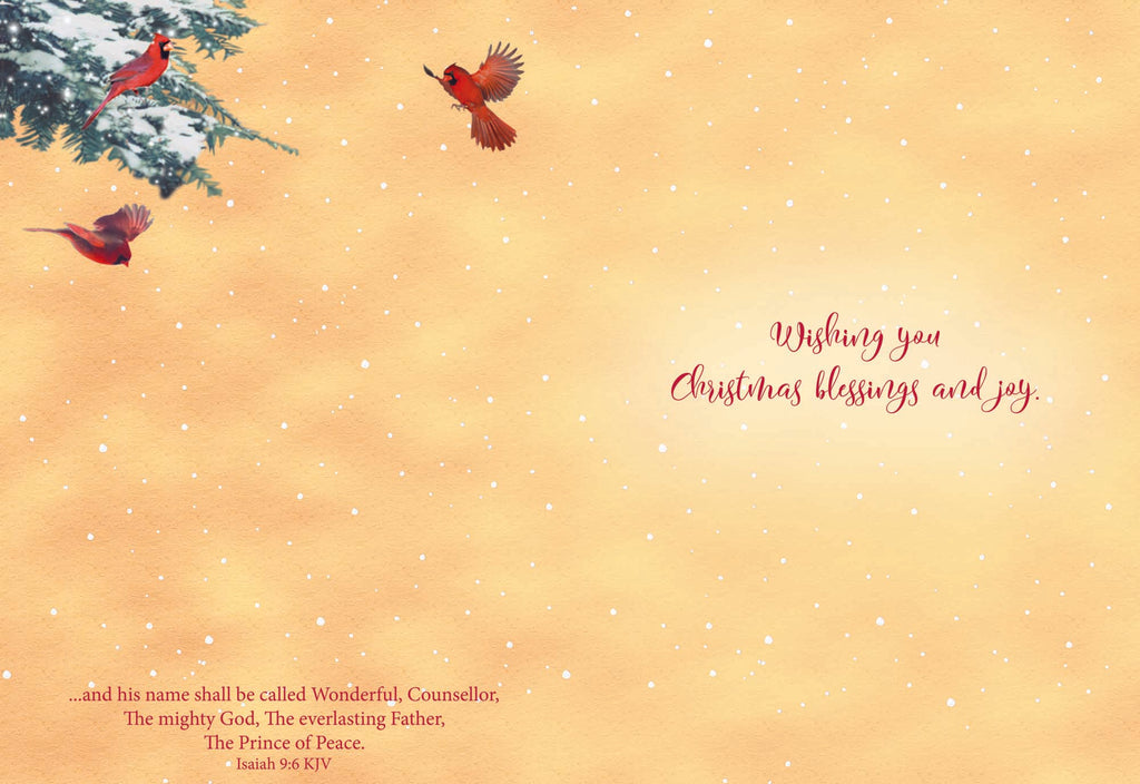 Large Boxed Christmas Card Assortment- Peace and Joy - 24 cards and envelopes