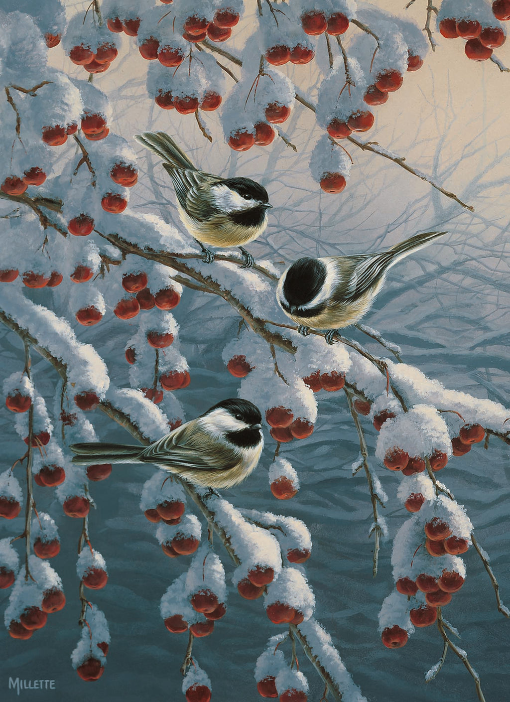 Large Boxed Christmas Card Assortment- Joyful Greetings - 24 cards and envelopes