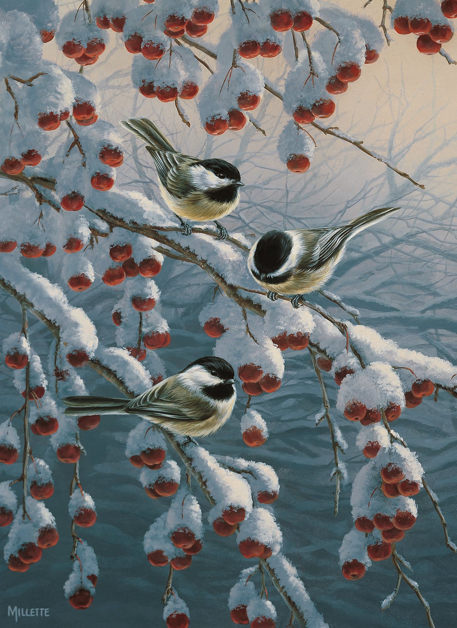 Large Boxed Christmas Card Assortment- Joyful Greetings - 24 cards and envelopes