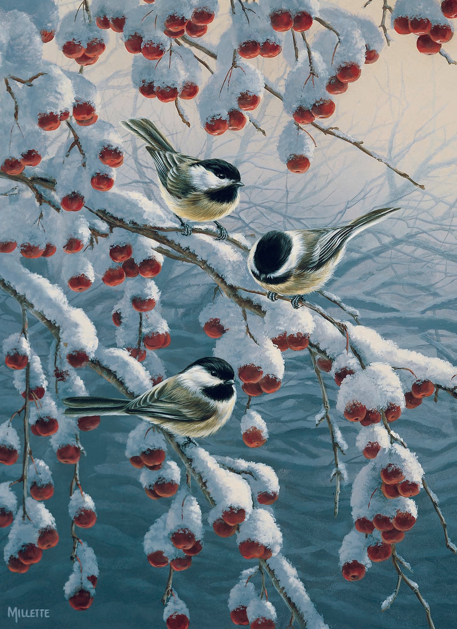 Boxed Christmas Cards - Winter Birds