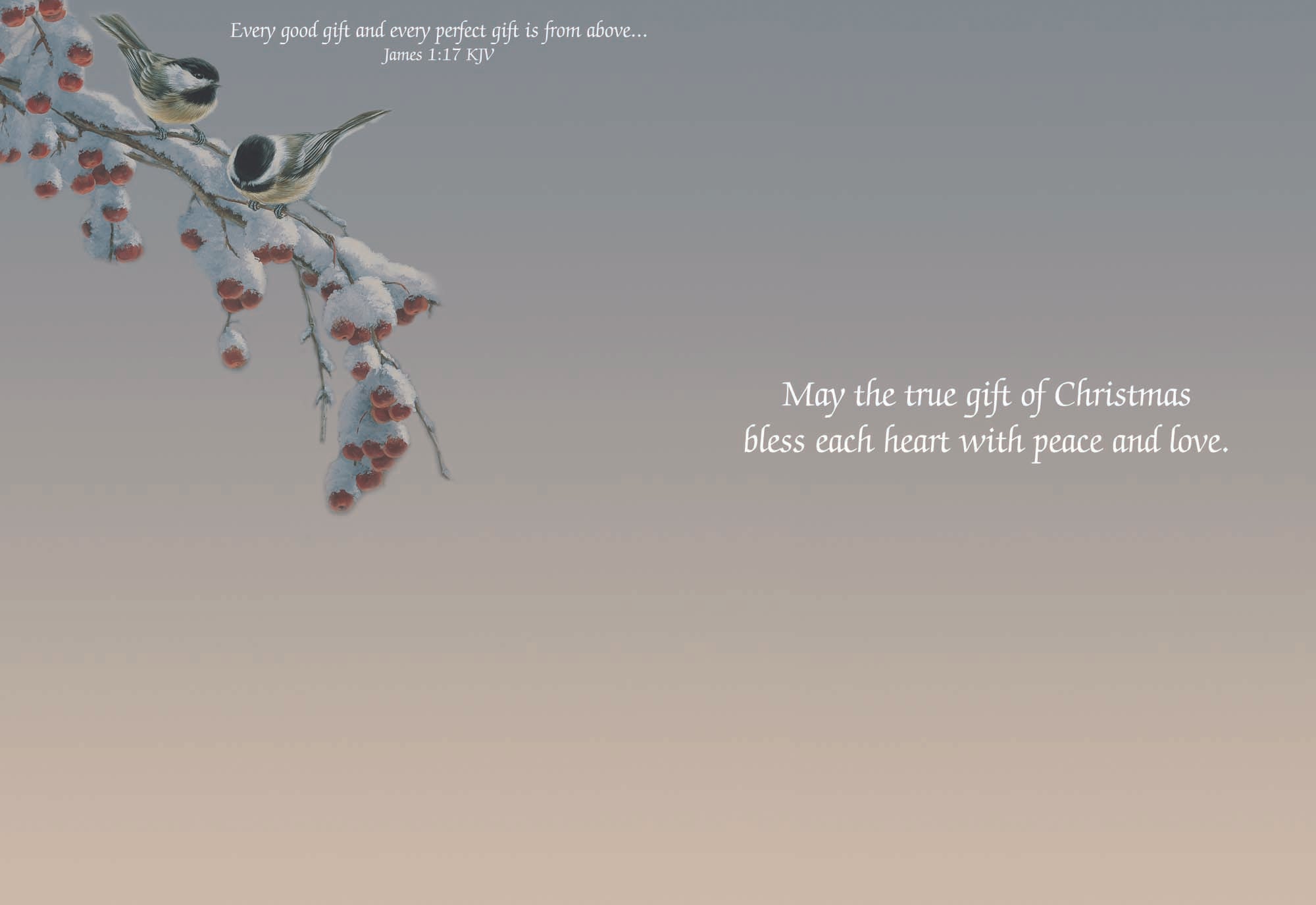 Large Boxed Christmas Card Assortment- Joyful Greetings - 24 cards and envelopes