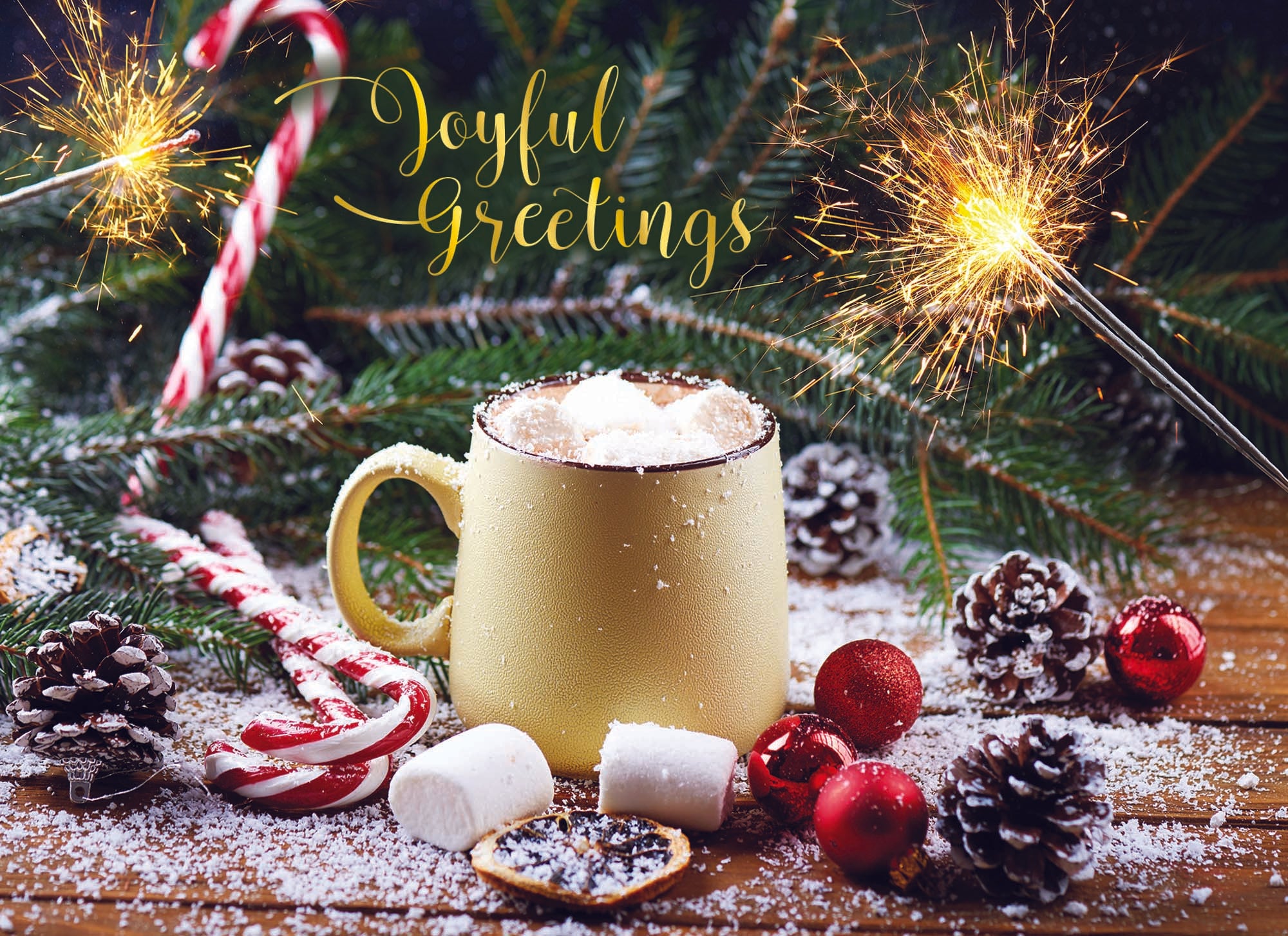 Joyful Gretings Card