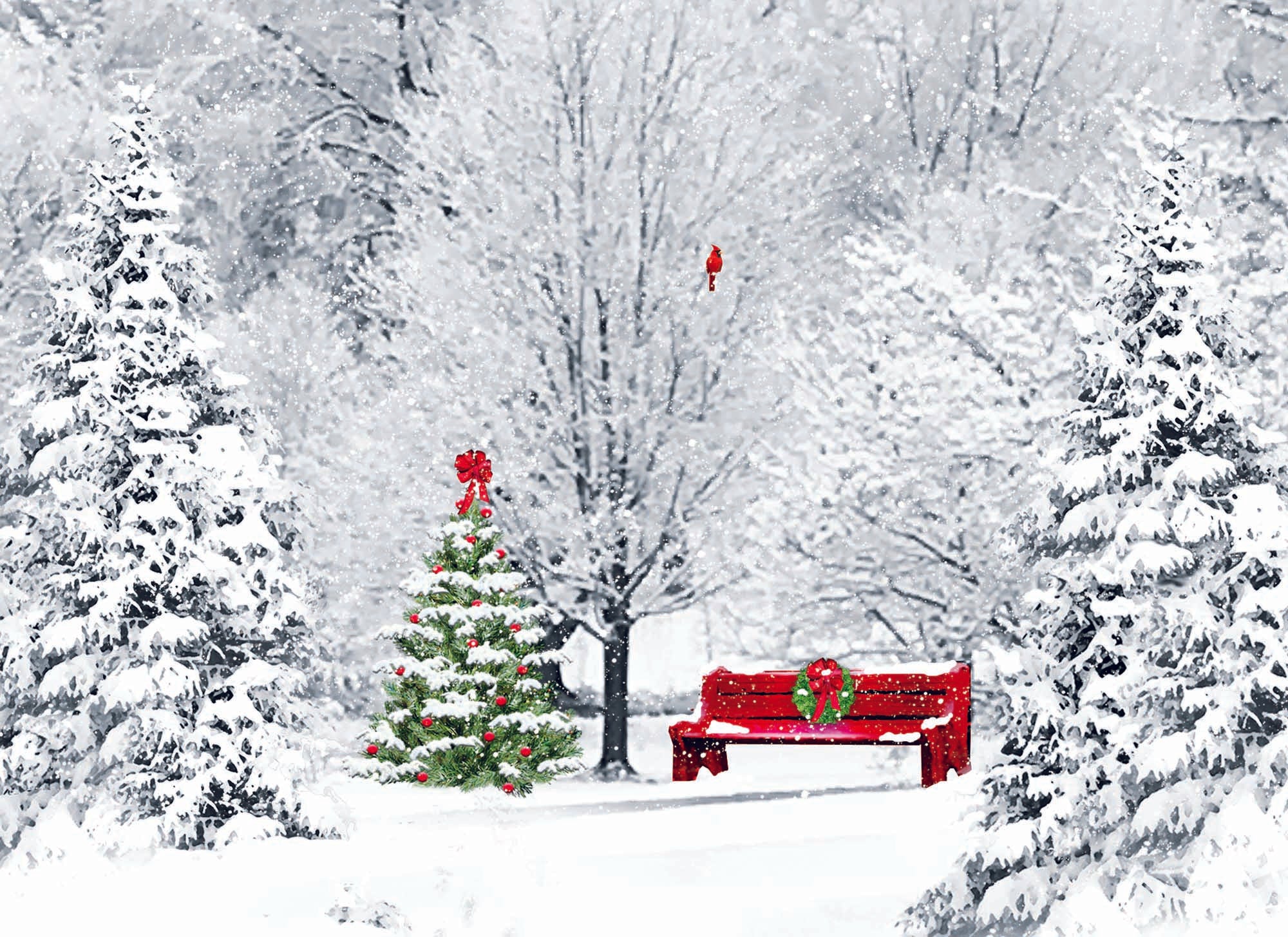 Boxed Christmas Cards - Winter Wonderland