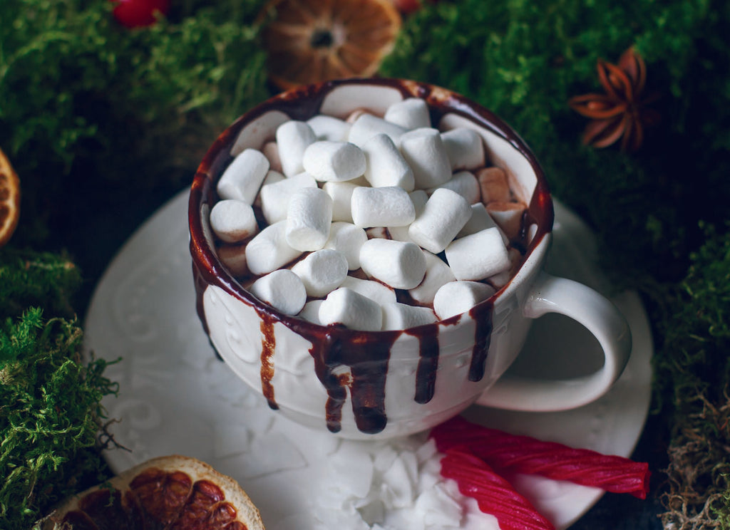 Christian Christmas Cards by Shared Blessings - Cozy Christmas, 12 Religious Cards and Envelopes