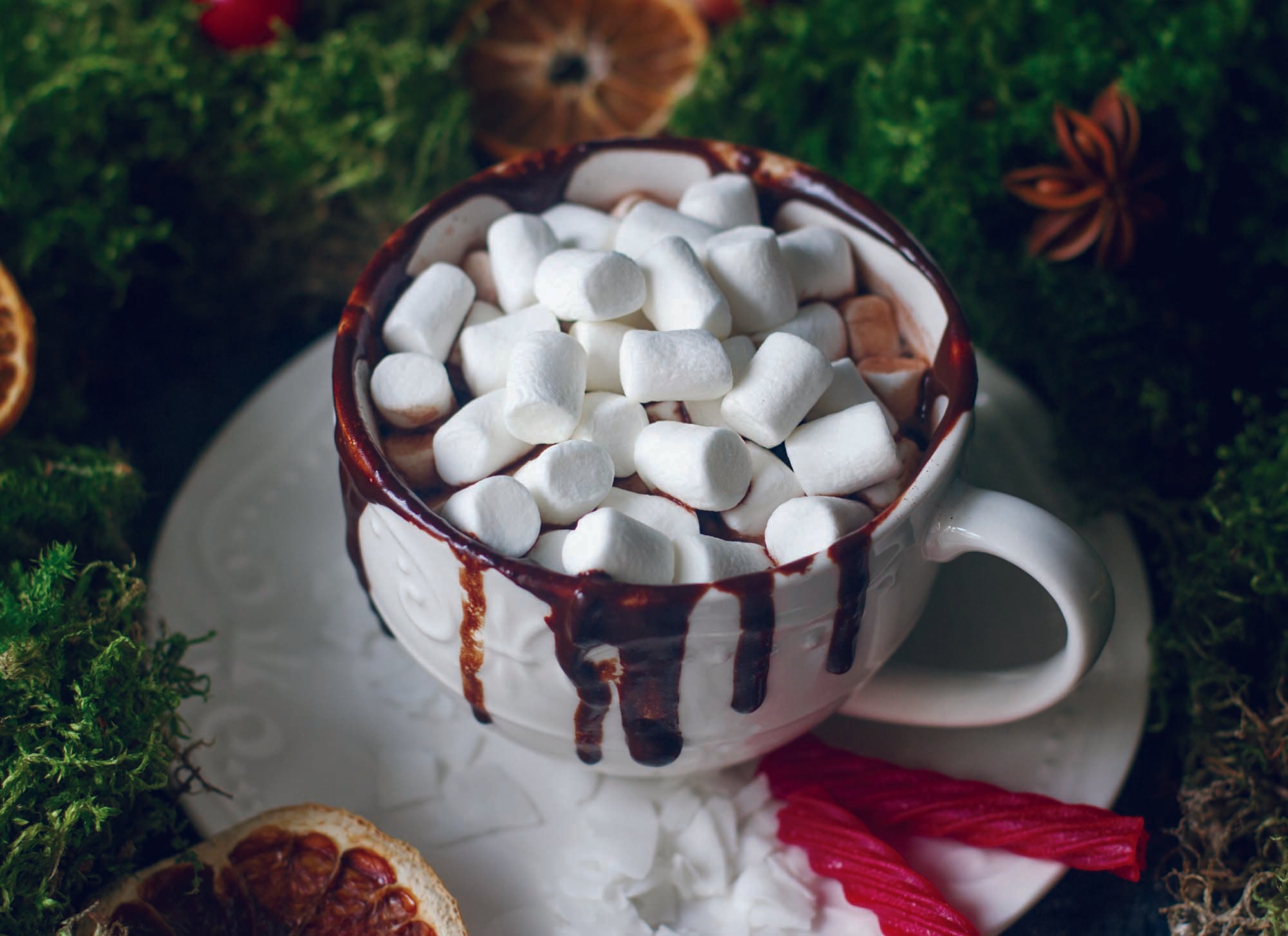 Christian Christmas Cards by Shared Blessings - Cozy Christmas, 12 Religious Cards and Envelopes