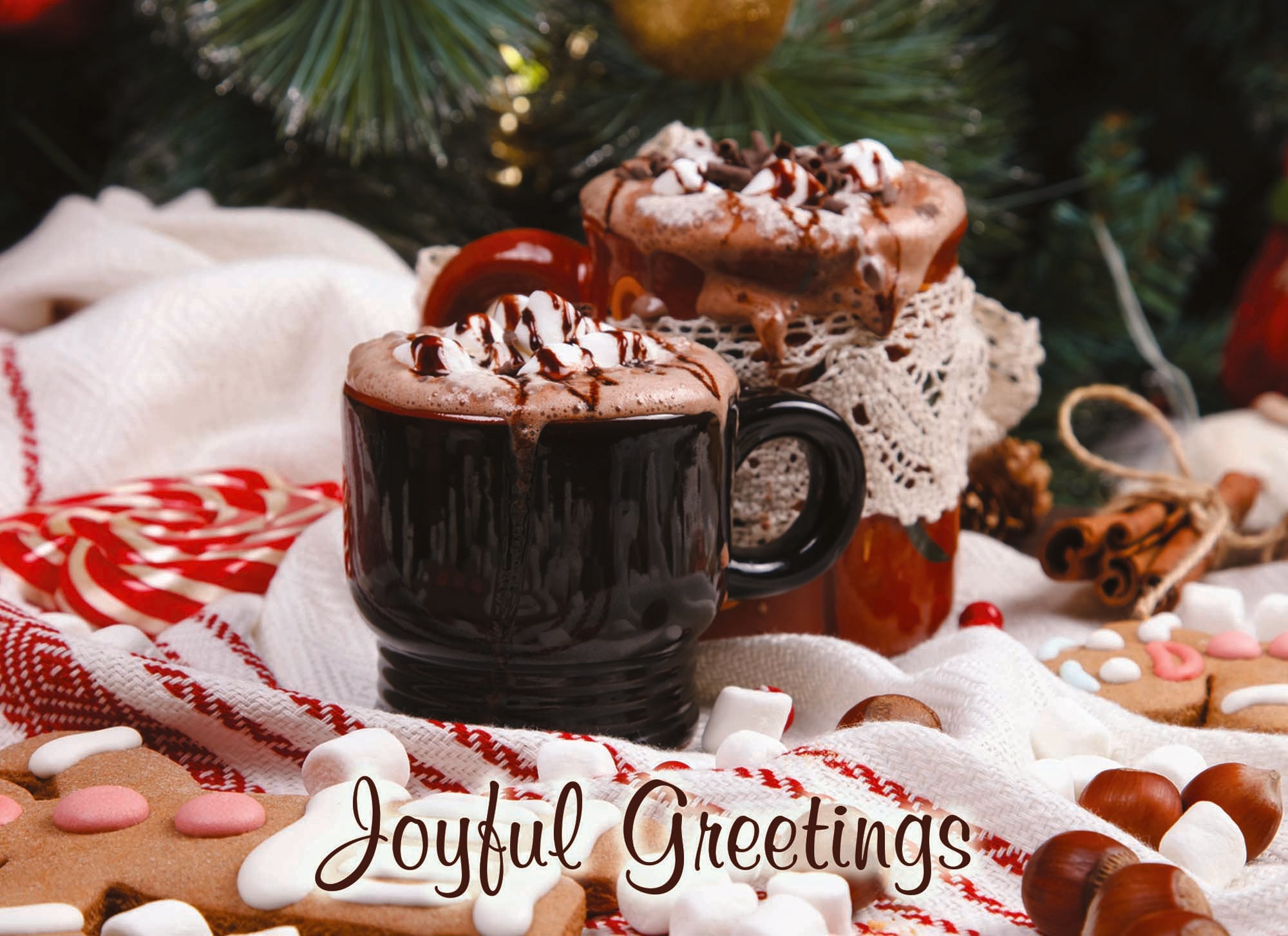 Large Boxed Christmas Card Assortment- Joyful Greetings - 24 cards and envelopes