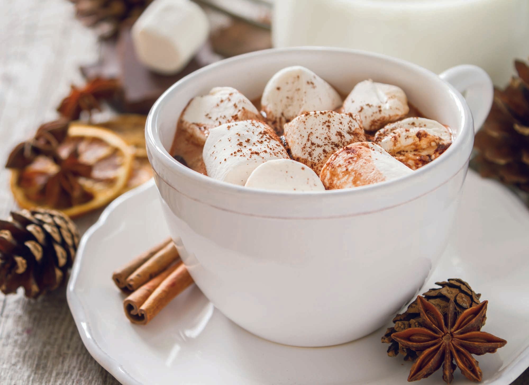 Christian Christmas Cards by Shared Blessings - Cozy Christmas, 12 Religious Cards and Envelopes